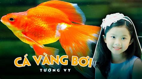  Cá Vàng - Một Loài Cá Bơi Lướt Với Những Sóng Gợn